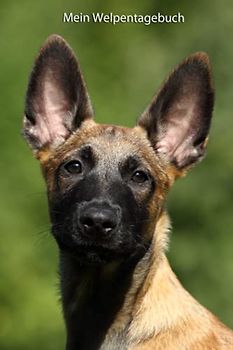 Mein Welpentagebuch: die ersten Monate mit meinem Malinois (Malinois - alle Bücher: Trainingstagebuch, Krankenakte und Welpentagebuch, Band 3)