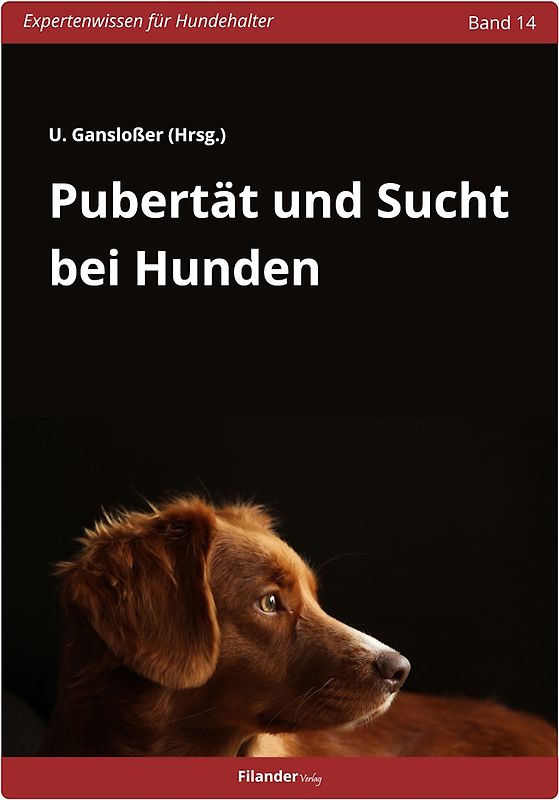 Pubertät und Sucht bei Hunden