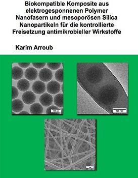 Biokompatible Komposite aus elektrogesponnenen Polymer Nanofasern und mesoporösen Silica Nanopartikeln für die kontrollierte Freisetzung antimikrobieller Wirkstoffe