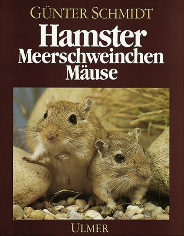Hamster, Meerschweinchen, Mäuse