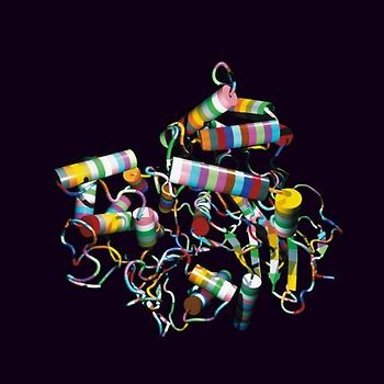 The Other Two - Super Highways