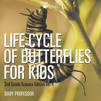 Life Cycle Of Butterflies for Kids | 2nd Grade Science Edition Vol 4