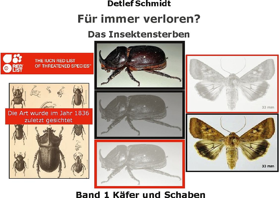 Für immer verschwunden? Band 1 Käfer und Schaben