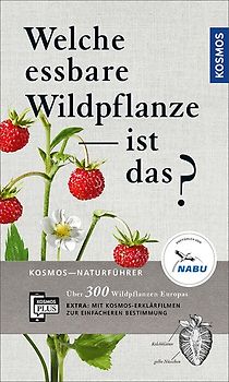 Welche essbare Wildpflanze ist das?