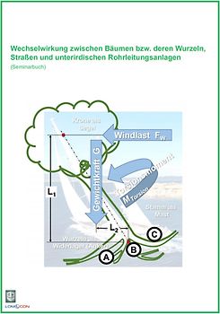 Wechselwirkung zwischen Bäumen bzw. deren Wurzeln, Straßen und unterirdischen Rohrleitungsanlagen