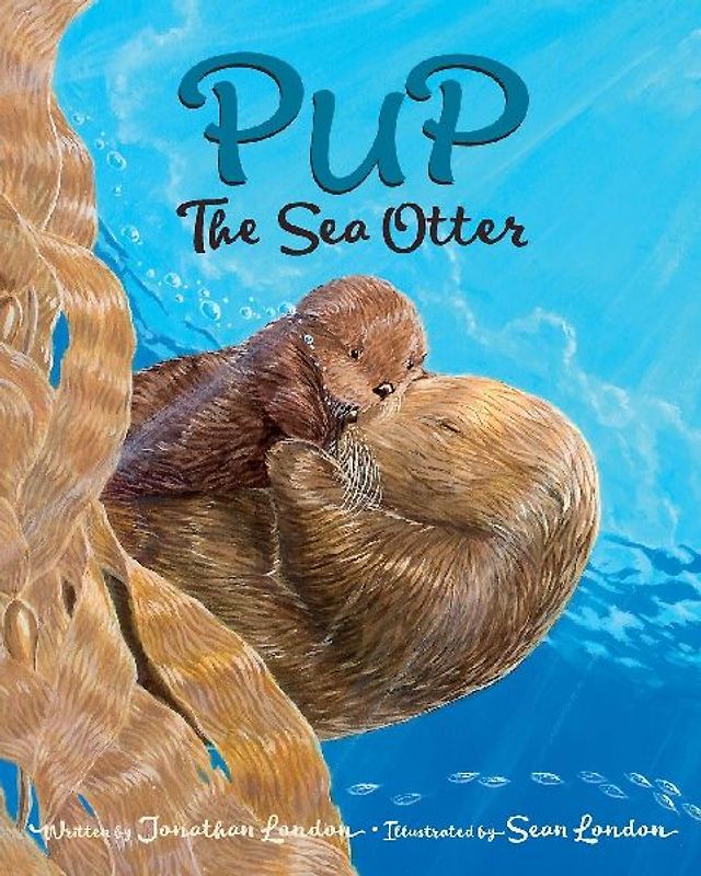 Pup the Sea Otter