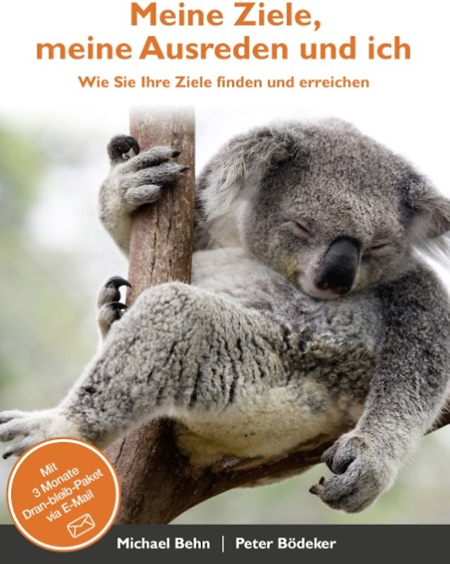 Meine Ziele, meine Ausreden und ich