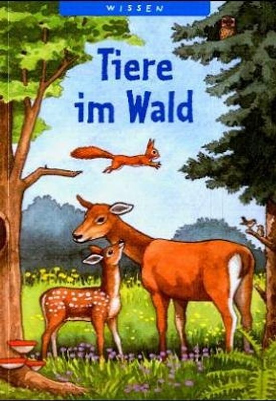 Tiere im Wald - Wissen