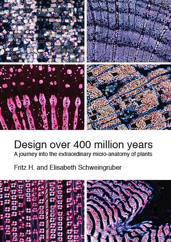 Design over 400 million years