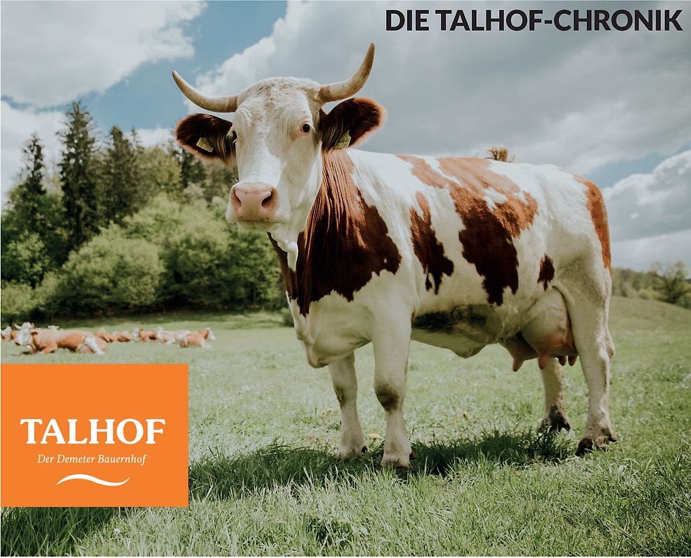 Die Talhof-Chronik