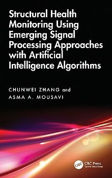 Structural Health Monitoring Using Emerging Signal Processing Approaches with Artificial Intelligence Algorithms