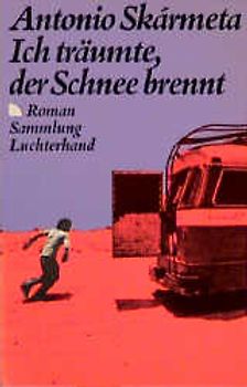 Ich träumte, der Schnee brennt. Roman