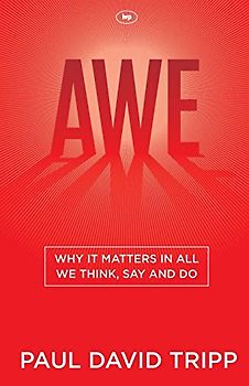 Awe: Why it Matters in All We Think, Say and Do