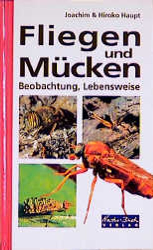 Fliegen und Mücken. Beobachtung, Lebensweise