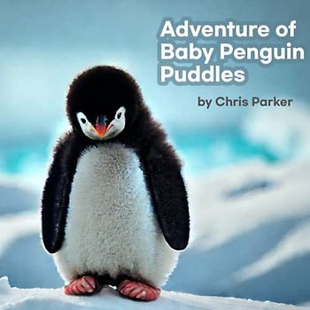 Adventure of baby penguin, Puddles