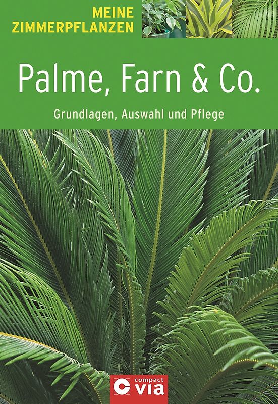 Palme, Farn & Co. - Grundlagen, Auswahl und Pflege
