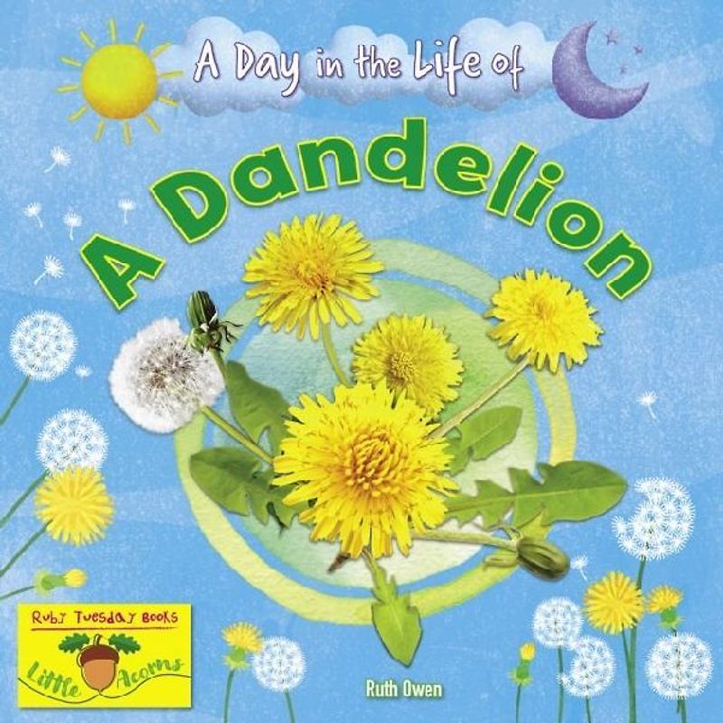 A Dandelion