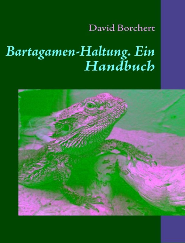 Bartagamen-Haltung