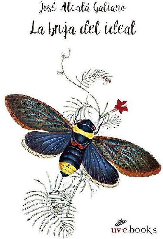 La bruja del ideal : cuento soñado