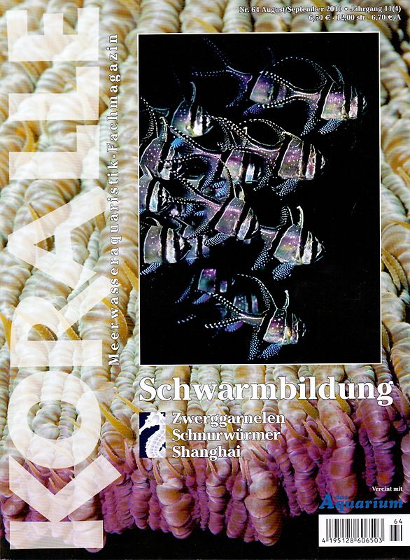 Koralle 64/2010: Schwarmbildung