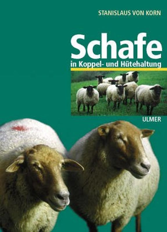 Schafe in Koppel- und Hütehaltung