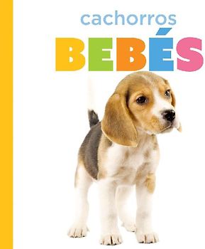 Cachorros Bebés