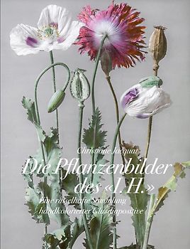 Die Pflanzenbilder des »I. H.«