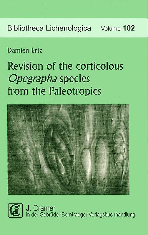 Revision of the corticolous Opegrapha species from the Paleotropics