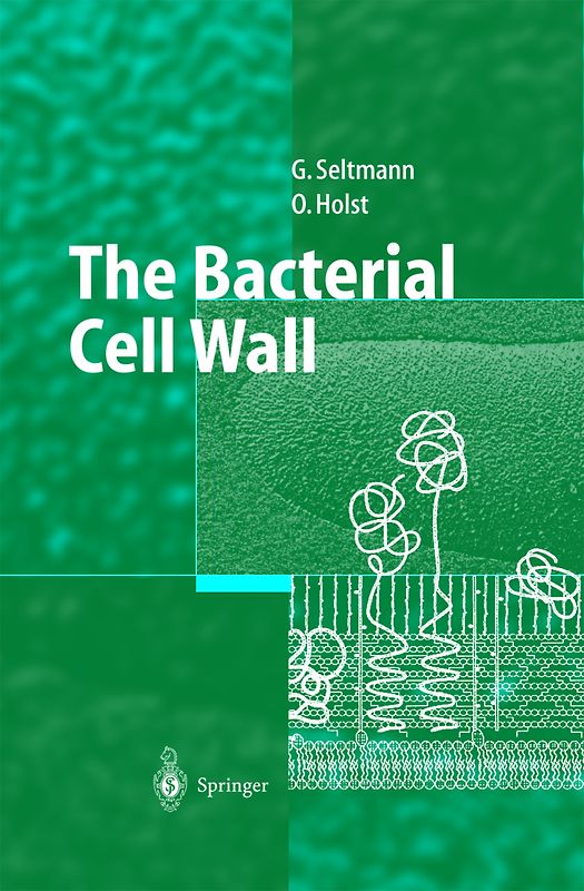 The Bacterial Cell Wall