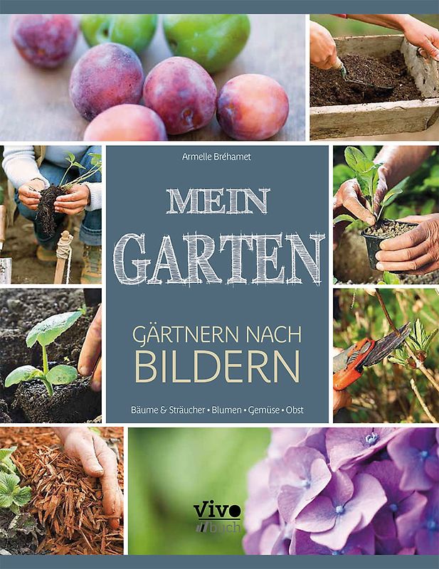 Mein Garten - nach Bildern