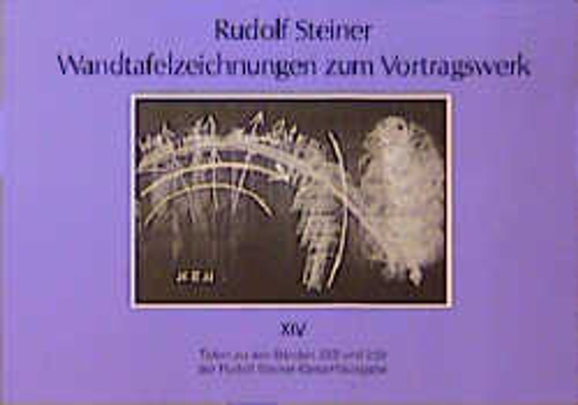 Wandtafelzeichnungen zum Vortragswerk, Bd. XIV