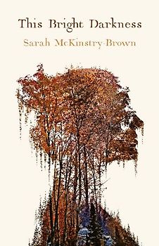 This Bright Darkness