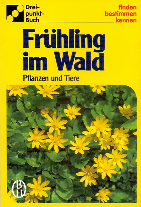 Frühling im Wald. Pflanzen und Tiere