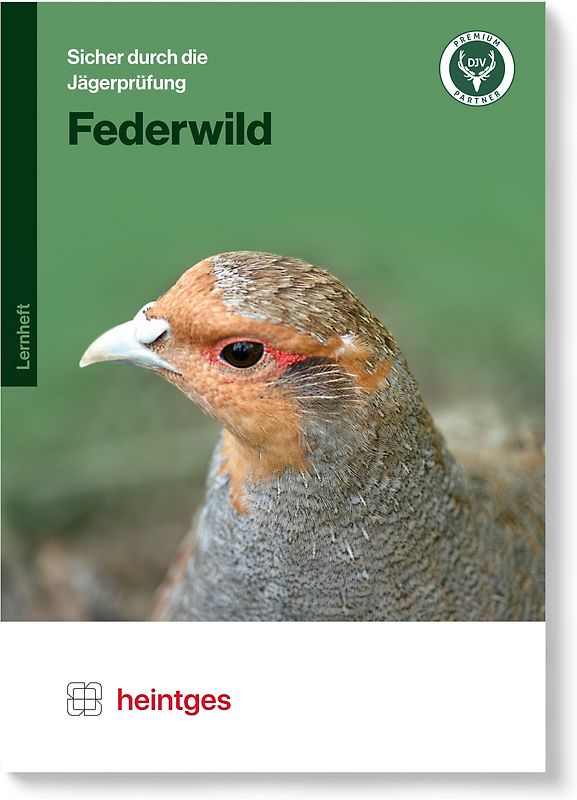 Federwild