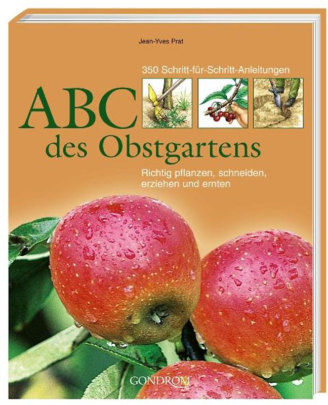 ABC des Obstgartens