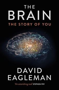 The Brain - The Story of You - David Eagleman [Hardcover]