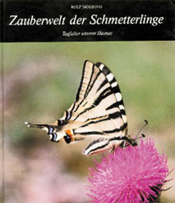Zauber der Schmetterlinge