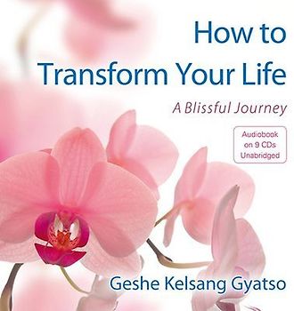 How to Transform Your Life: A Blissful Journey