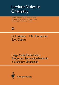 Large Order Perturbation Theory and Summation Methods in Quantum Mechanics