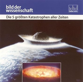 Die 5 grössten Katastrophen aller Zeiten