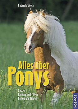 Alles über Ponys