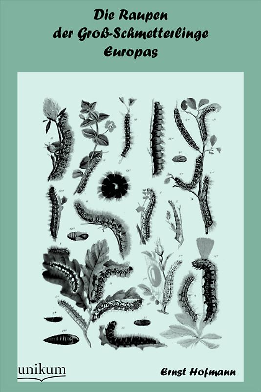 Die Raupen der Groß-Schmetterlinge Europas