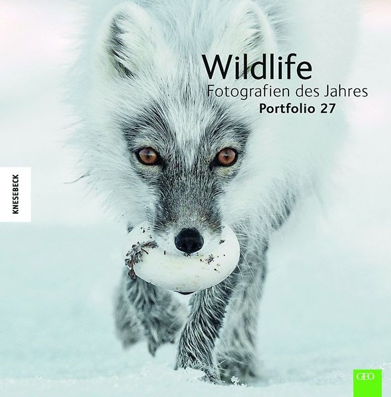 Wildlife Fotografien des Jahres – Portfolio 27