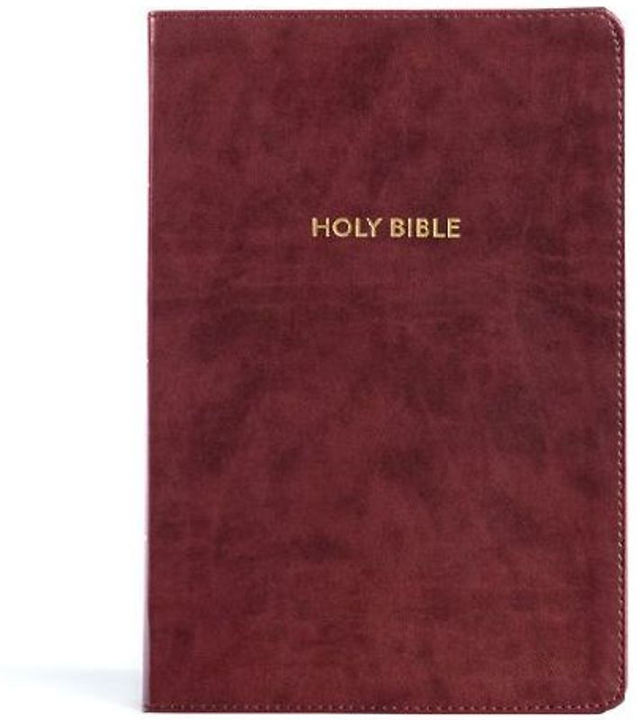 KJV Rainbow Study Bible, Burgundy Leathertouch, Indexed