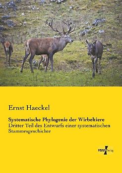 Systematische Phylogenie der Wirbeltiere