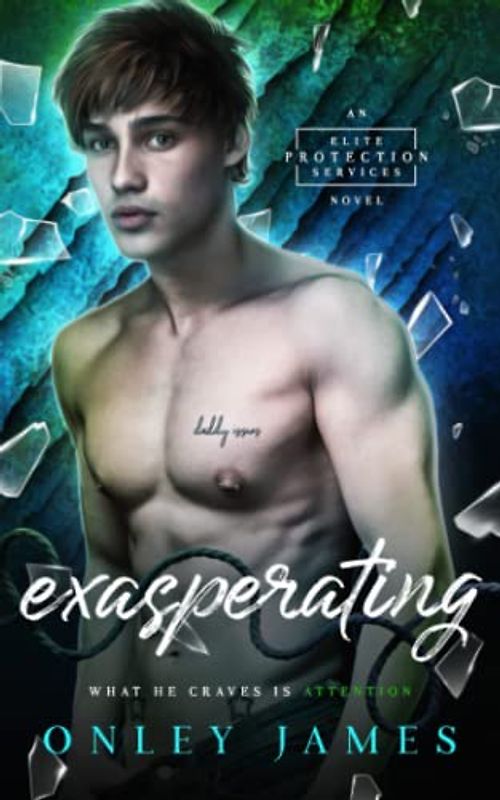 Exasperating (Elite Protection Services, Band 3)