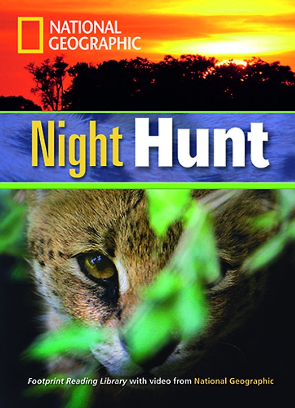 Night Hunt