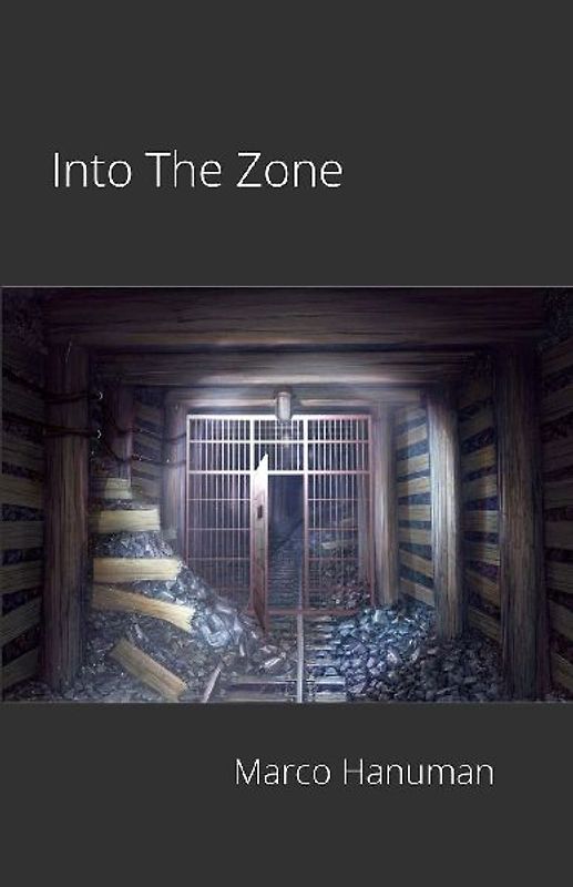Into The Zone