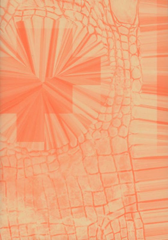 Nico Joana Weber – Tropic Telecom