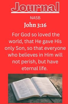 john 3:16 Journal with a bright red background color